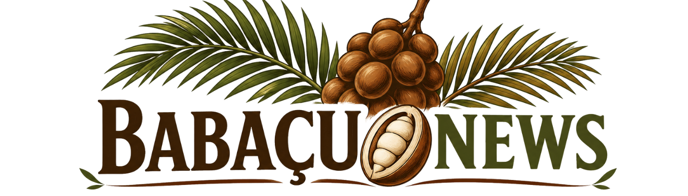 Babaçu News