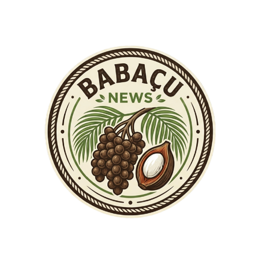 Babaçu News