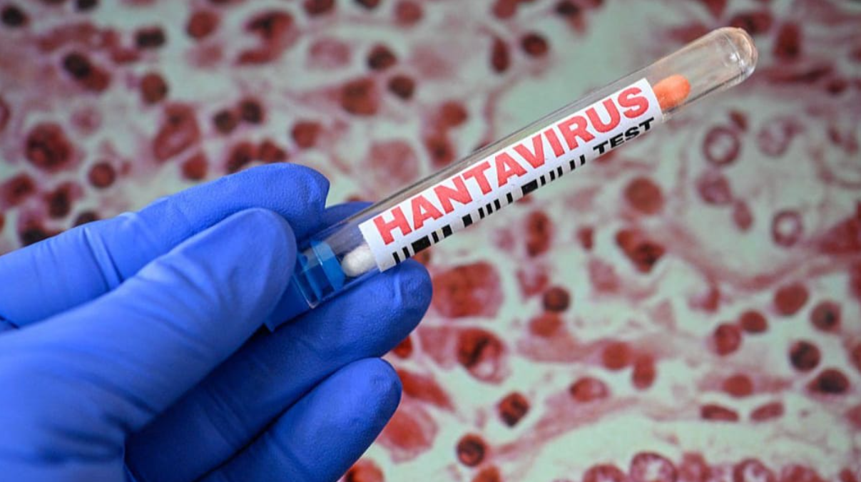 OMS descarta indícios de “surto maior” de hantavírus